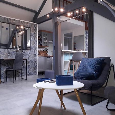 Loft Haut De Gamme Centre Montargis, Place De Parking, Local A Velos, Linge De Lits Et Serviettes, Coin Riviere Amenage, Hamac, Epicerie, Velos En Option, Tout Confort Jusqu'A 4 Voyageurs Exterior foto