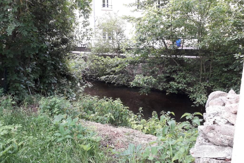 Loft Haut De Gamme Centre Montargis, Place De Parking, Local A Velos, Linge De Lits Et Serviettes, Coin Riviere Amenage, Hamac, Epicerie, Velos En Option, Tout Confort Jusqu'A 4 Voyageurs Exterior foto