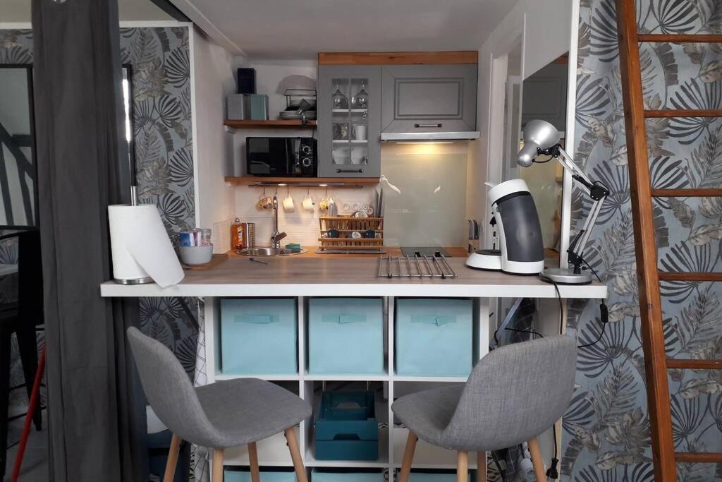 Loft Haut De Gamme Centre Montargis, Place De Parking, Local A Velos, Linge De Lits Et Serviettes, Coin Riviere Amenage, Hamac, Epicerie, Velos En Option, Tout Confort Jusqu'A 4 Voyageurs Exterior foto