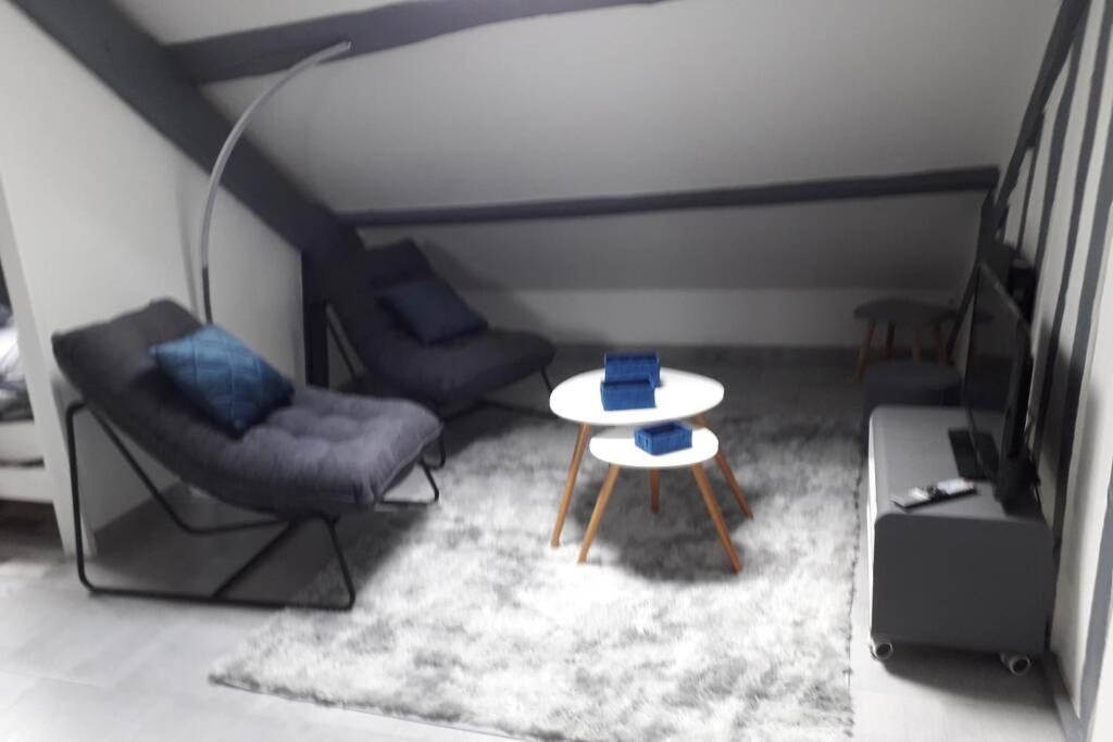 Loft Haut De Gamme Centre Montargis, Place De Parking, Local A Velos, Linge De Lits Et Serviettes, Coin Riviere Amenage, Hamac, Epicerie, Velos En Option, Tout Confort Jusqu'A 4 Voyageurs Exterior foto