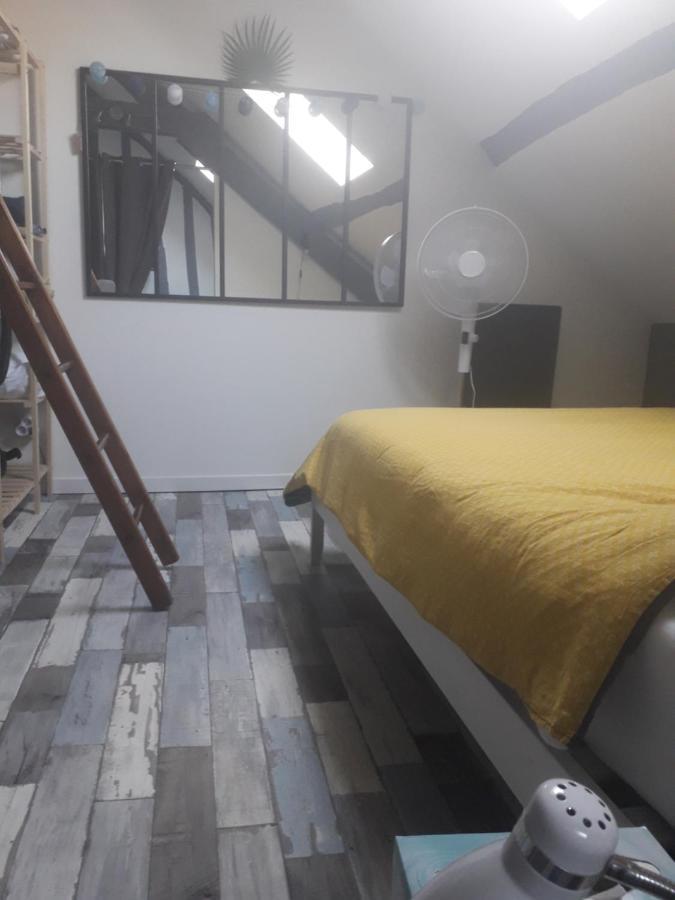 Loft Haut De Gamme Centre Montargis, Place De Parking, Local A Velos, Linge De Lits Et Serviettes, Coin Riviere Amenage, Hamac, Epicerie, Velos En Option, Tout Confort Jusqu'A 4 Voyageurs Exterior foto