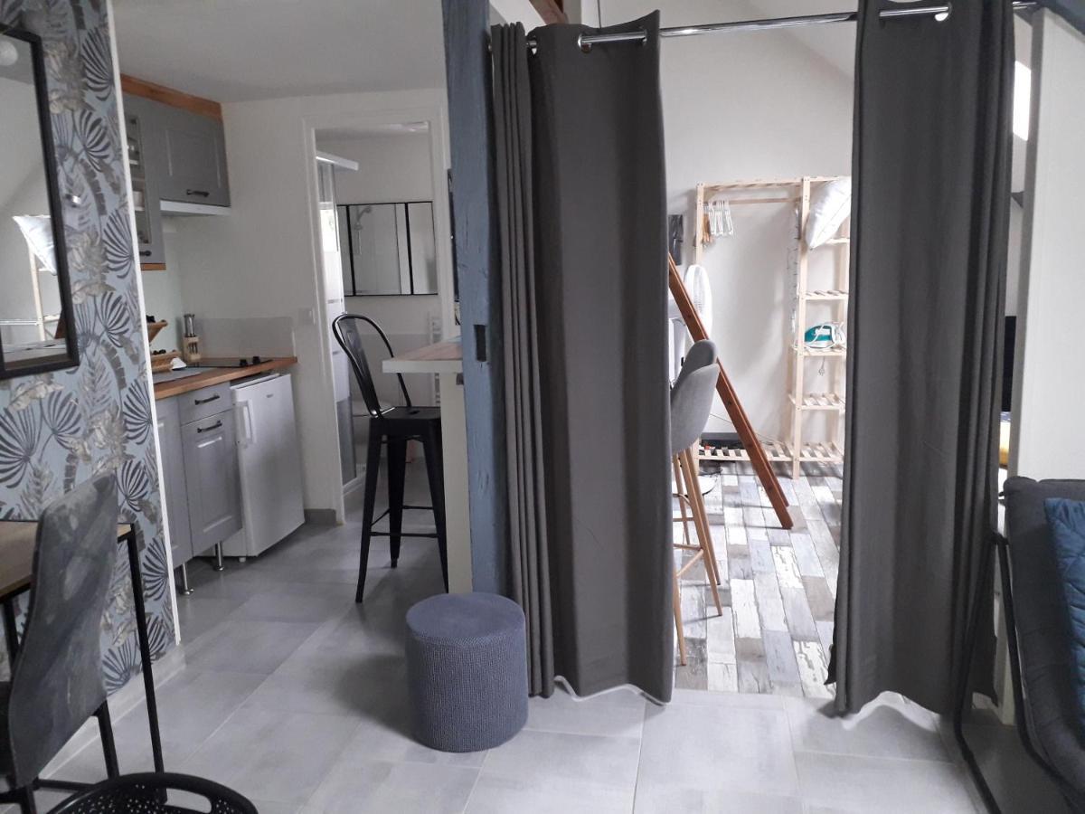Loft Haut De Gamme Centre Montargis, Place De Parking, Local A Velos, Linge De Lits Et Serviettes, Coin Riviere Amenage, Hamac, Epicerie, Velos En Option, Tout Confort Jusqu'A 4 Voyageurs Exterior foto