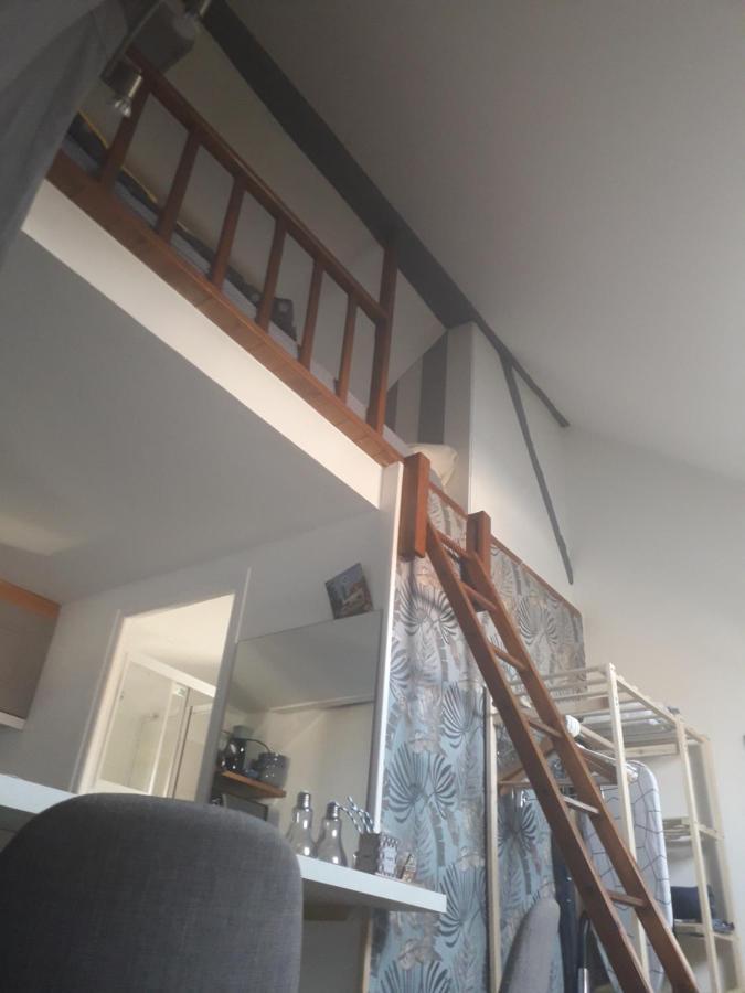 Loft Haut De Gamme Centre Montargis, Place De Parking, Local A Velos, Linge De Lits Et Serviettes, Coin Riviere Amenage, Hamac, Epicerie, Velos En Option, Tout Confort Jusqu'A 4 Voyageurs Exterior foto