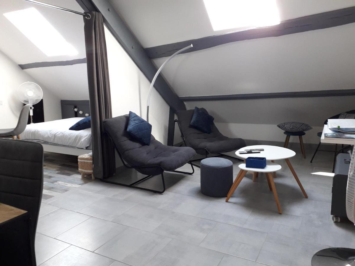 Loft Haut De Gamme Montargis Centre 1 A 4 Personnes Climatisation, Parking, Linge, Wifi, Hamac, Garage A Velos, Velos En Option Exterior foto