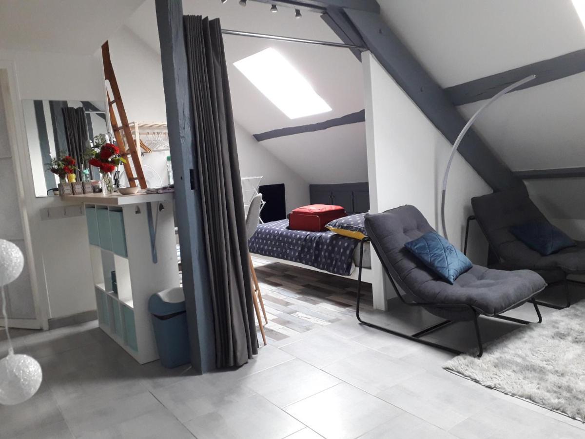 Loft Haut De Gamme Montargis Centre 1 A 4 Personnes Climatisation, Parking, Linge, Wifi, Hamac, Garage A Velos, Velos En Option Exterior foto