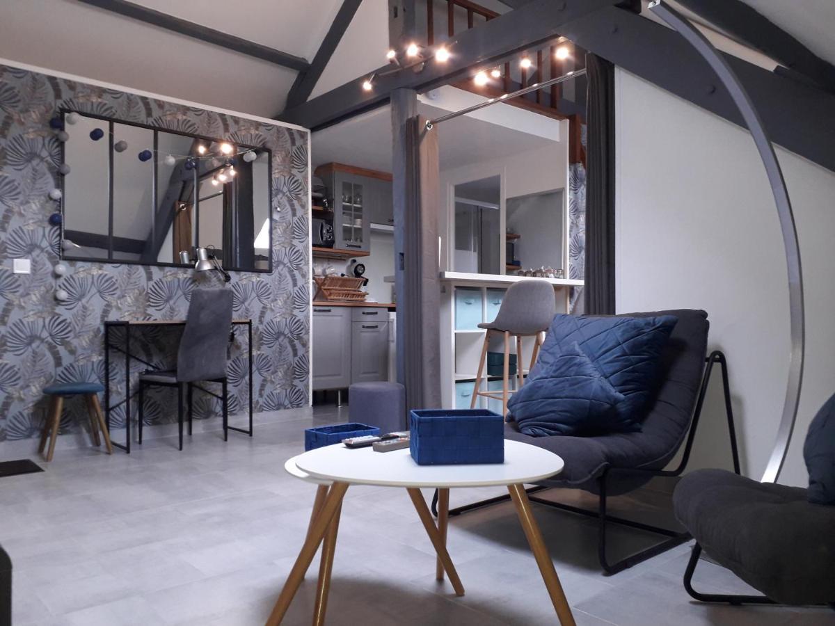 Loft Haut De Gamme Centre Montargis, Place De Parking, Local A Velos, Linge De Lits Et Serviettes, Coin Riviere Amenage, Hamac, Epicerie, Velos En Option, Tout Confort Jusqu'A 4 Voyageurs Exterior foto